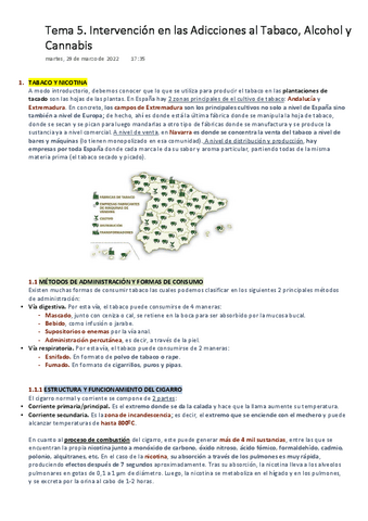 IPA-Tema-5.-Intervencion-en-las-Adicciones-al-Tabaco-Alcohol-y-Cannabis.pdf