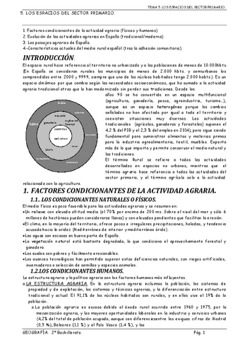 TEMA-5-GEOGRAFIA.pdf
