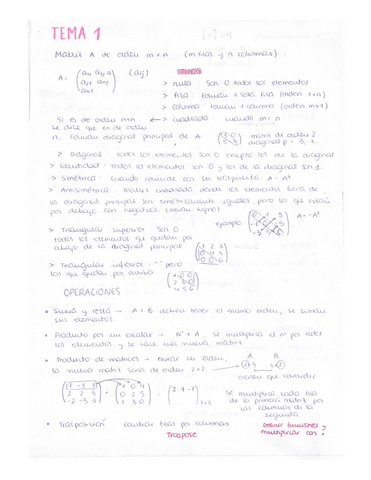 RESUMEN TODO (Y como hacer con mathem).pdf