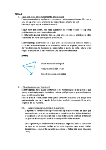 TEMA-6.pdf