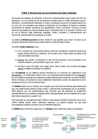 Tema-1.pdf