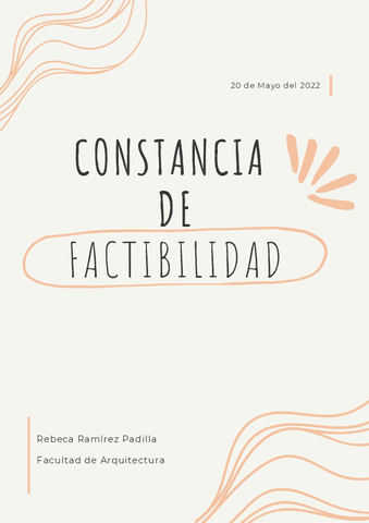 2.CONSTANCIA-DE-FACTIBILIDAD.pdf