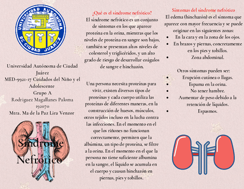 Sindrome-Nefrotico.pdf