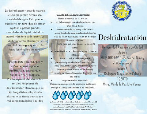 Deshidratacion.pdf