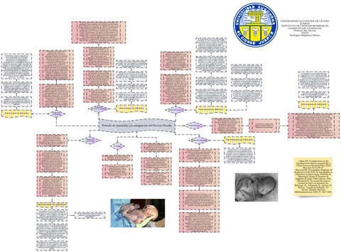 Periodo-de-transicion-del-RN.pdf