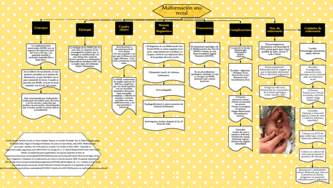 Malformacion-Ano-Rectal.pdf