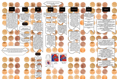 Persistencia-del-conducto-arterioso.pdf