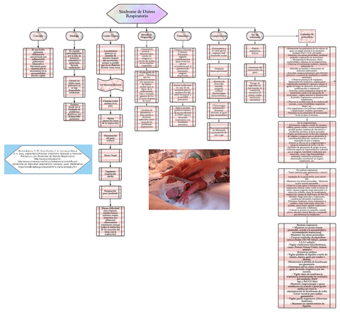 Sindrome-de-Distress-Respiratorio.pdf