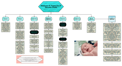 Sindrome-de-Aspiracion-de-Meconio.pdf