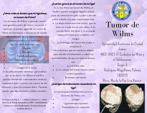 Tumor-de-Willms.pdf