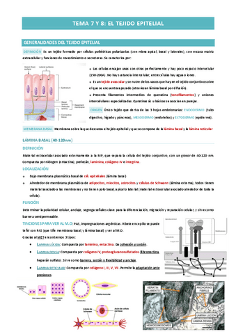 TEMA-7-y-8-TEJIDO-EPITELIAL-REVESTIMIENTOGLANDULAR.pdf