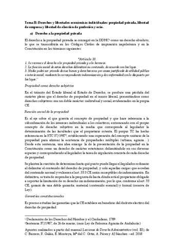 Apuntes-Tema-II-Manual.pdf