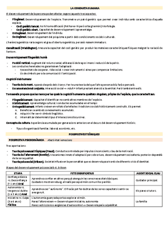 Apunts-Bloc-1 Desenvolupament.pdf