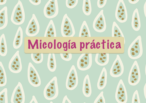 Micologia-examen-practico-tabla-.pdf