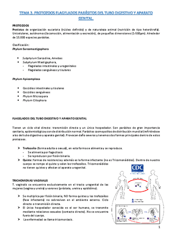 t3-parasito.pdf