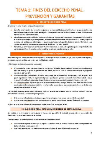 TEMA-1-FINES-DEL-DERECHO-PENAL.-PREVENCION-Y-GARANTIAS.pdf