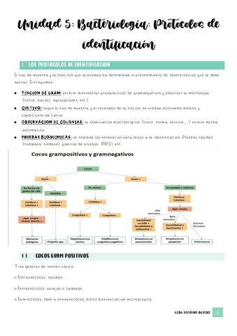 U5-Protocolos-e-identificacion.pdf