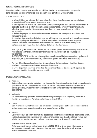 1.-Tecnicas-de-estudio.pdf