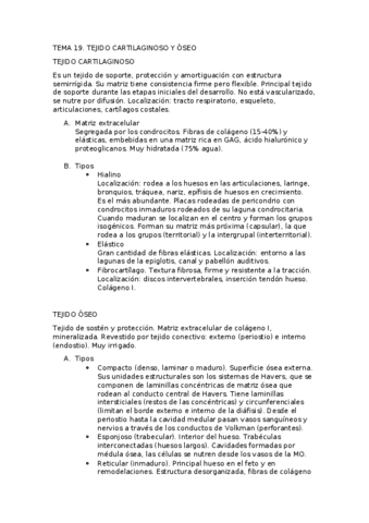 14.-Tejido-cartilaginoso-y-oseo.pdf