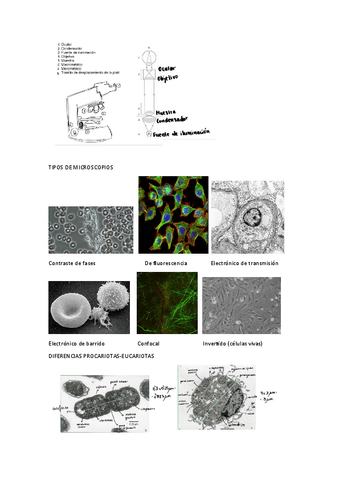 IMAGENES.pdf