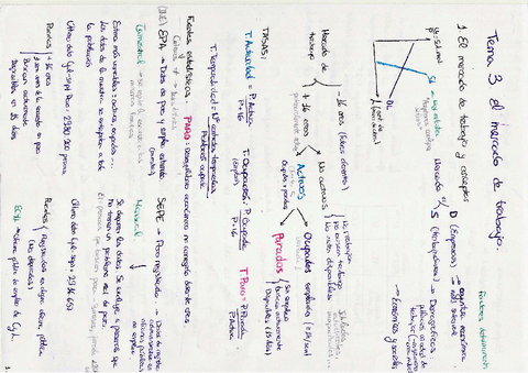 Estructura económica sectorial Tema-3.pdf