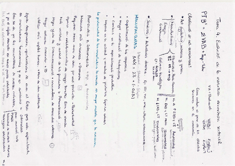 Estructura económica sectorial  Tema-4.pdf