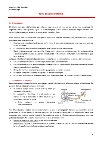 Parcial-neuro.pdf