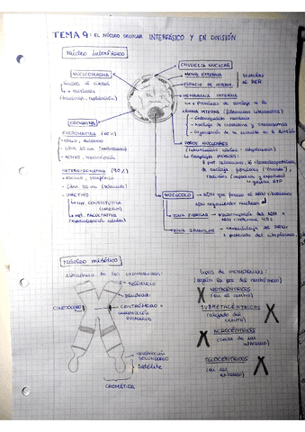 temas-9-y-10.pdf