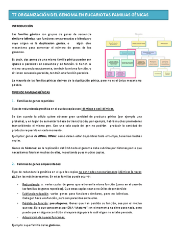 Tema-7-GENETICA-MOL.pdf