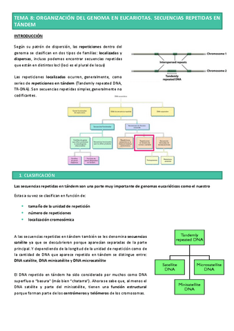 Tema-8-GENETICA-MOL.pdf