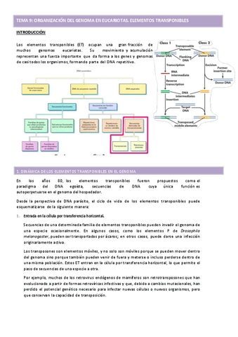 TEMA-9-GENETICA-MOL.pdf