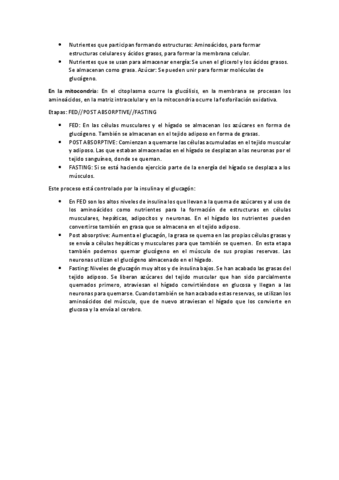 Tema-11.-Metabolismo.pdf