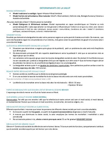 salud-publica-bloque-2--sistema-sanitario-y-determinantes-de-salud.pdf