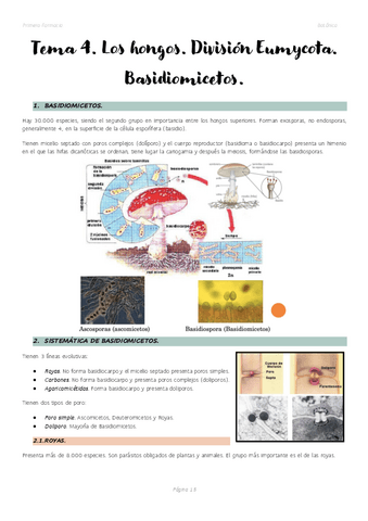 Tema-4.-Los-hongos.-DIvision-Eumycota.-Basidiomicetos..pdf