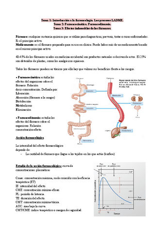 RESUMEN.pdf