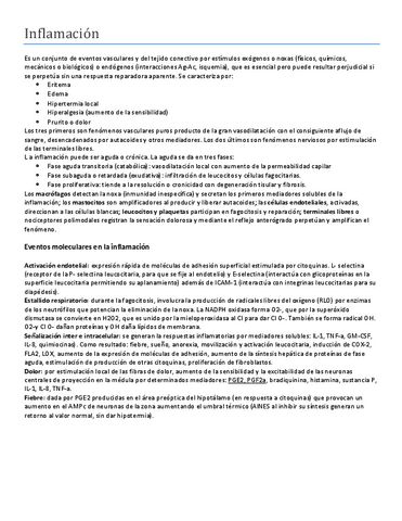 8.AINES.pdf