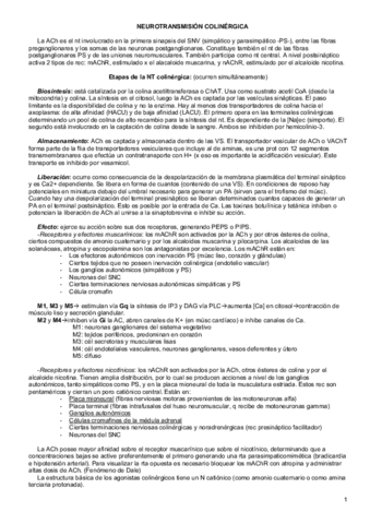 4.Neurotransmision-colinergica.pdf