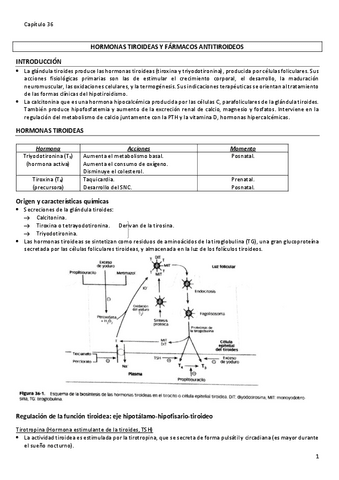 HORMONAS-TIROIDEAS-Y-FARMACOS-ANTITIROIDEOS-capitulo-36.pdf