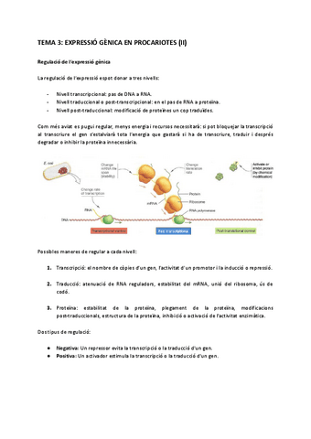 Tema-3-Expressio-Genica-en-Procariotes-II.pdf