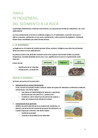 T6-Del-sedimento-a-la-roca.pdf