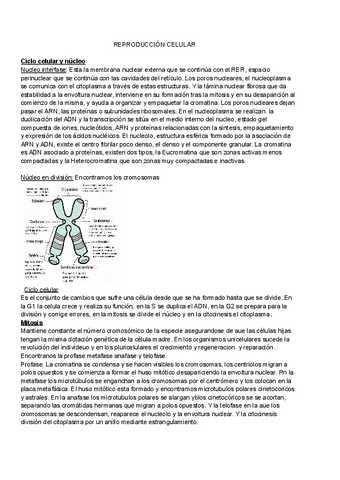 REPRODUCCION-CELULAR.pdf