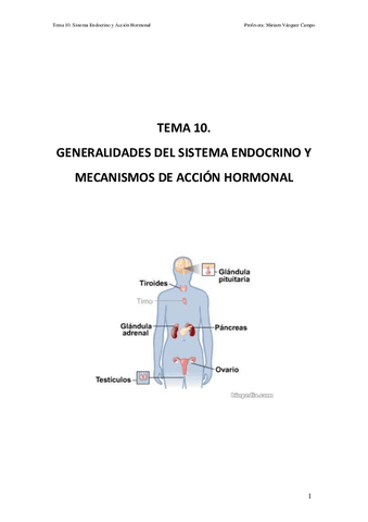 TEMA10.Fisiologaendocrina.pdf