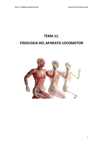 TEMA11.Fisiologadelaparatolocomotor.pdf