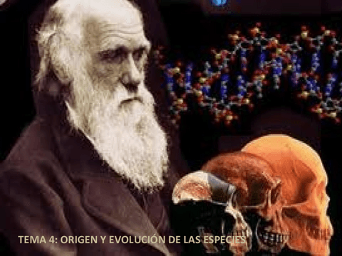 ORIGEN-Y-EVOLUCION-DE-LOS-SERES-VIVOS.pdf