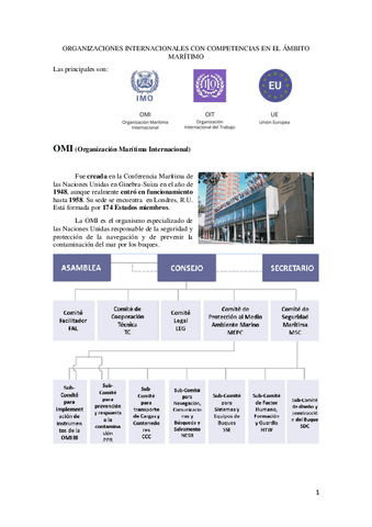 4. ORGANIZACIONES INTERNACIONALES CON COMPETENCIAS EN EL ÁMBITO MARÍTIMO.pdf