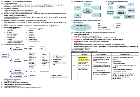 RESUMEN-T7-orina.pdf