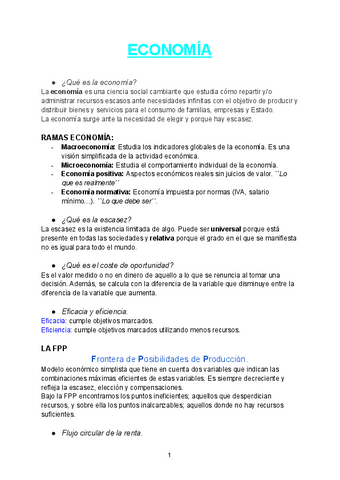 ECONOMIA-TODOS-LOS-TEMAS.pdf