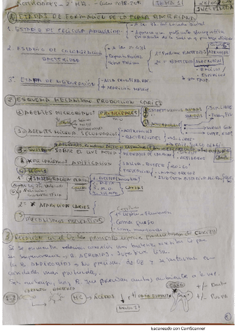 tema-1.pdf