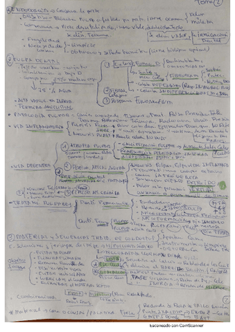 tema-2.pdf