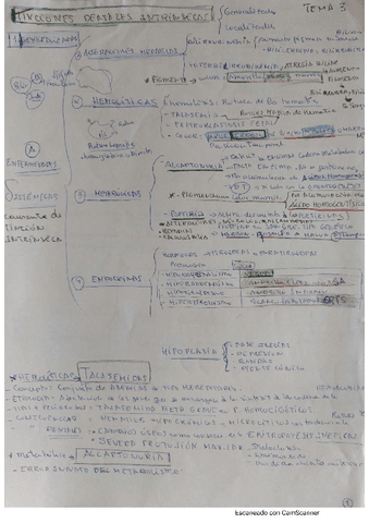 tema-3.pdf